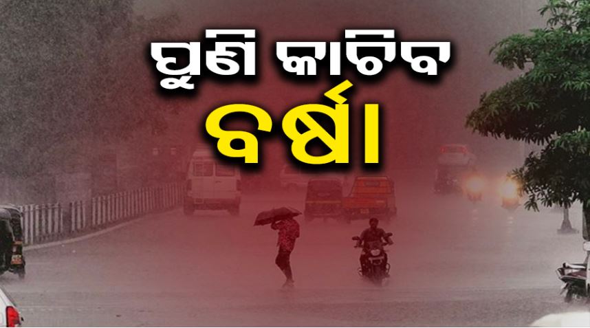 Rain