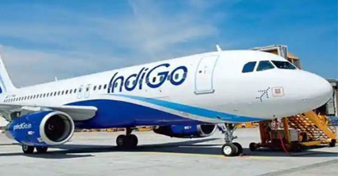 Indigo flight makes emergency landing
