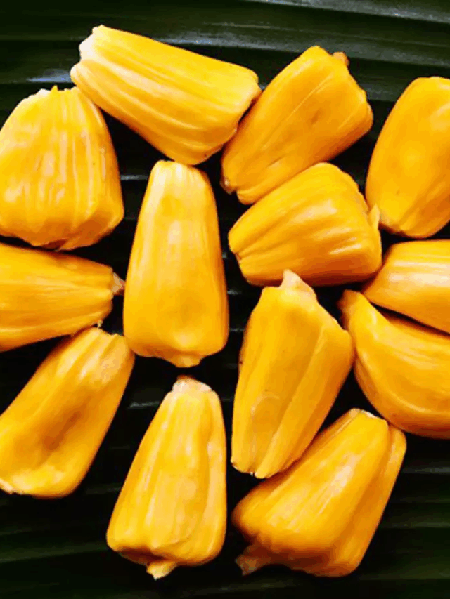Discover how Jackfruit superfood powers your health