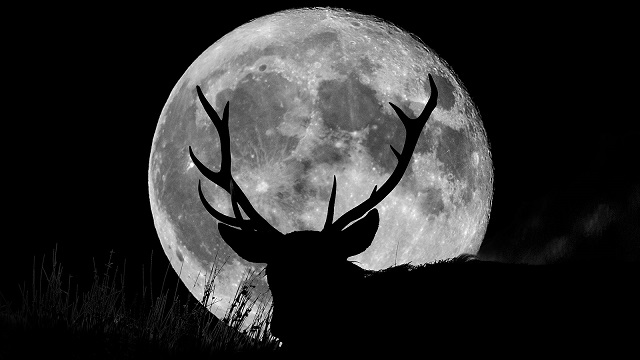 Buck Moon 2025