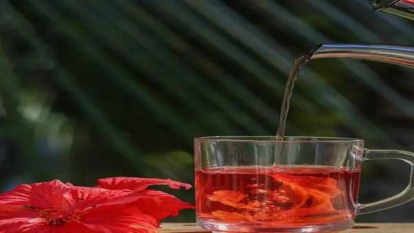 Five health benefits of hibiscus tea