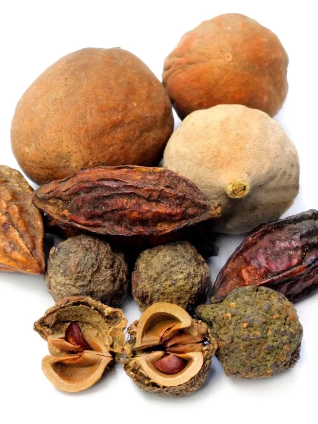 5 Healthy Ingredients for Fitness Enthusiasts