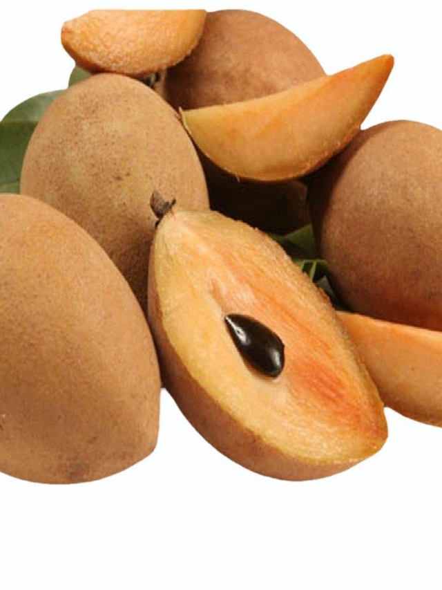 Great health benefits of eating Sapota or ‘Chickoo’ in winter